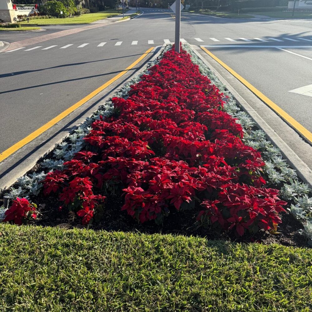 Orlando Drainage Solutions