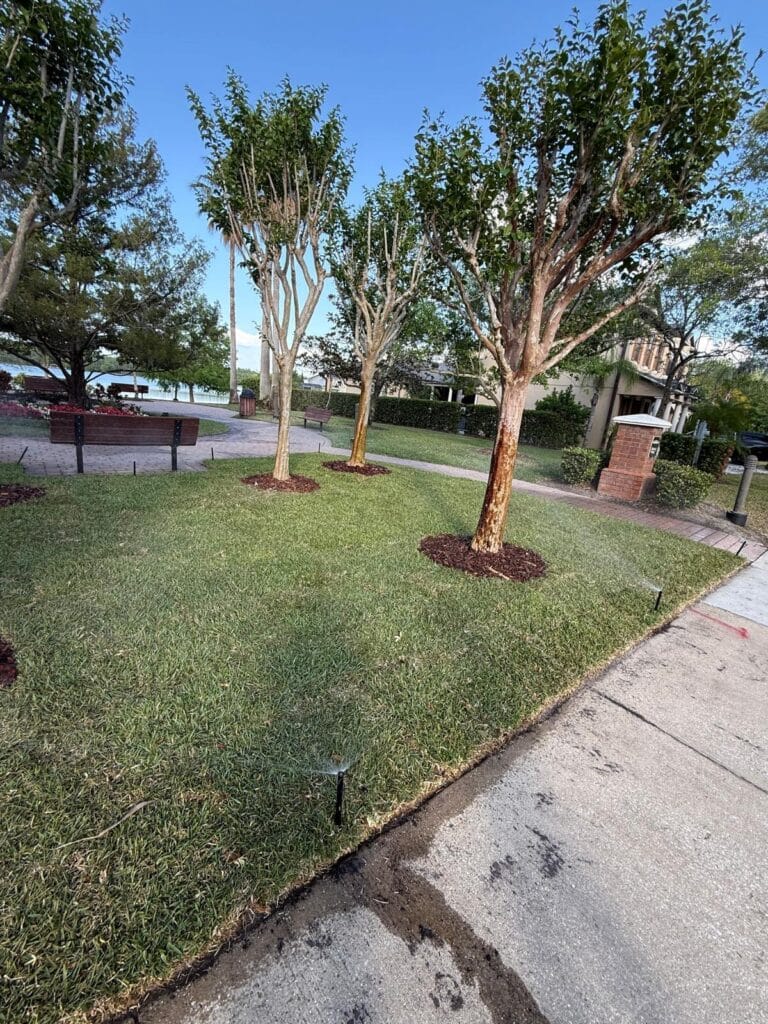 HOA Orlando Landscaping by Greenworks