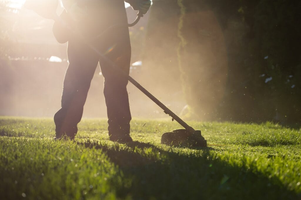 Lawn mower on a freshly cut lawn