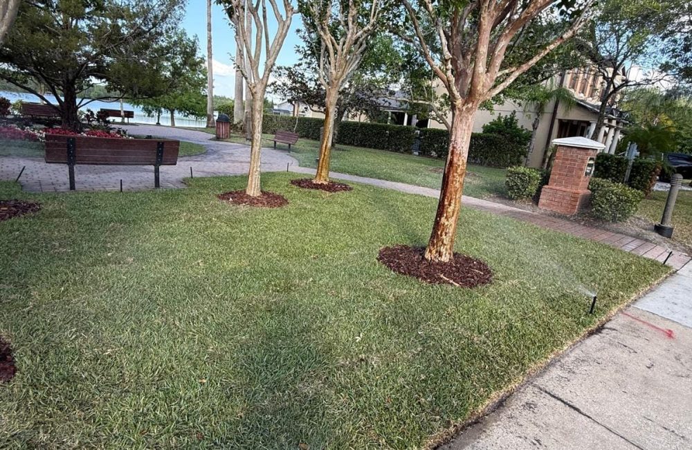 HOA Common Area HOA Orlando Landscaping by Greenworks